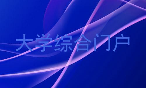 大学综合门户