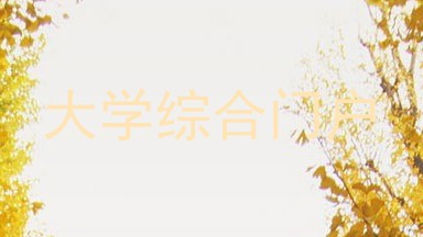 大学综合门户