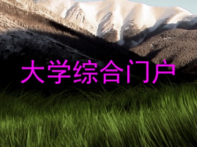 大学综合门户