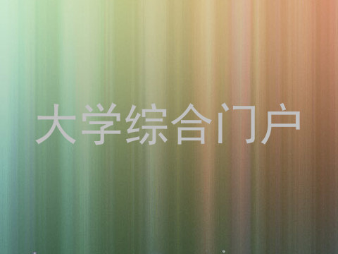 大学综合门户