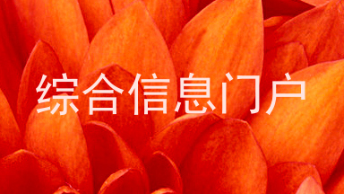 综合信息门户