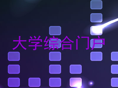 大学综合门户