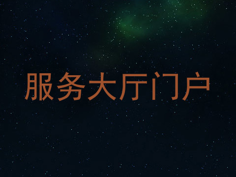 服务大厅门户