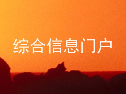 综合信息门户