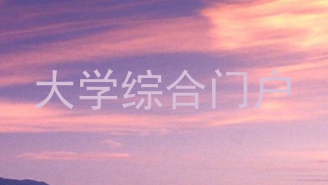 大学综合门户