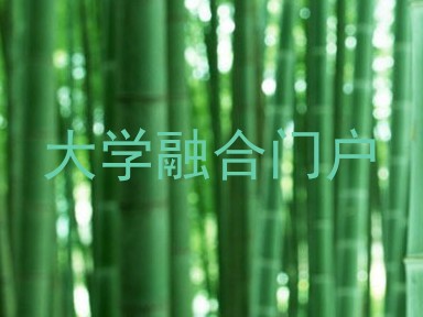 大学融合门户