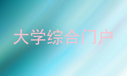 大学综合门户