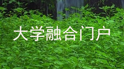 大学融合门户