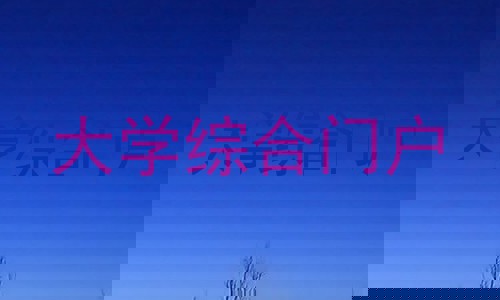 大学综合门户