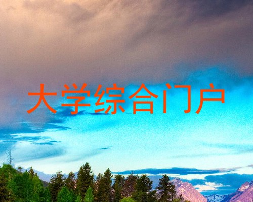 大学综合门户