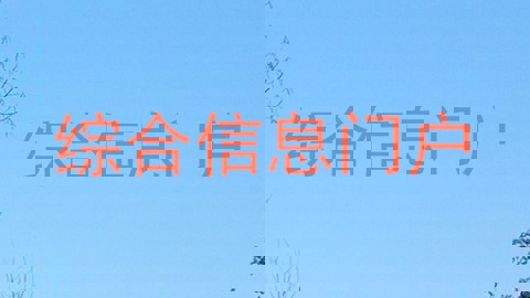 综合信息门户