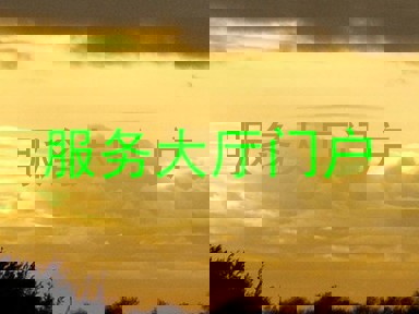 服务大厅门户