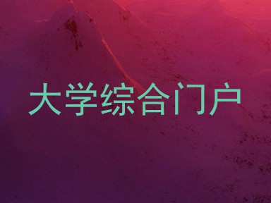 大学综合门户