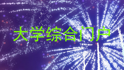 大学综合门户