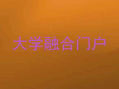 大学融合门户