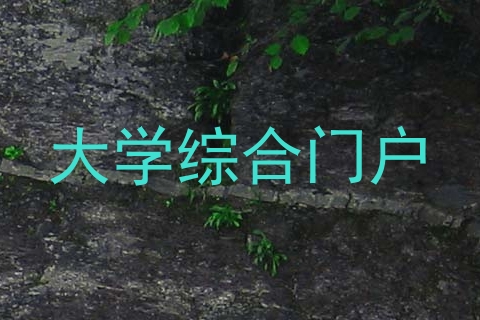 大学综合门户