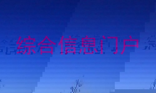 综合信息门户