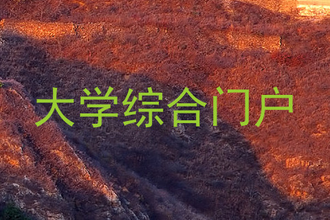 大学综合门户