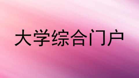 大学综合门户