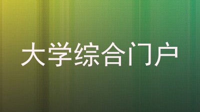 大学综合门户