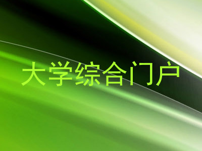 大学综合门户