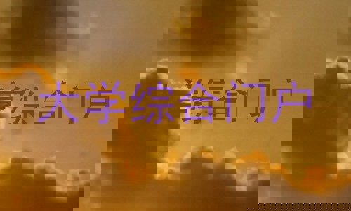 大学综合门户