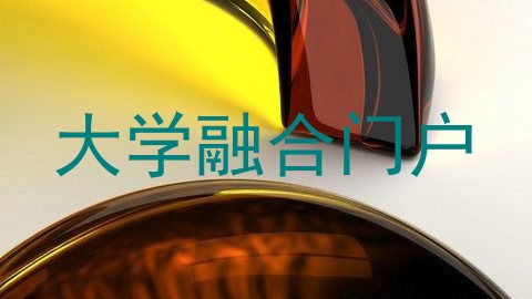 大学融合门户
