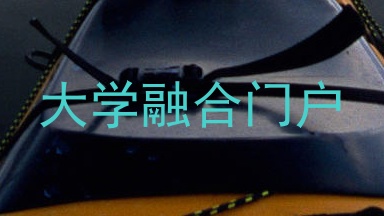大学融合门户