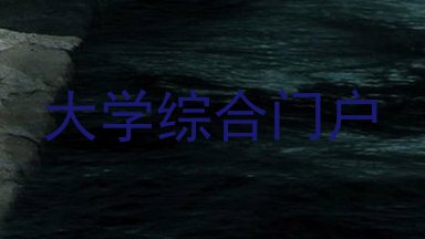 大学综合门户