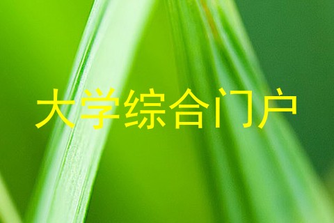 大学综合门户