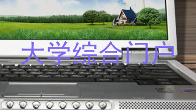 大学综合门户
