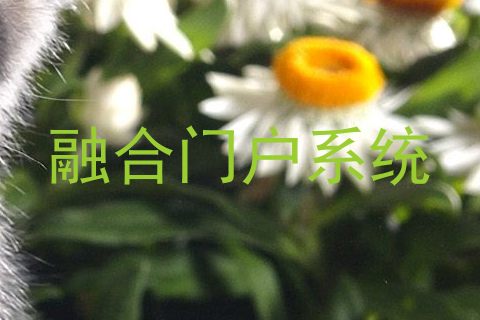 融合门户系统