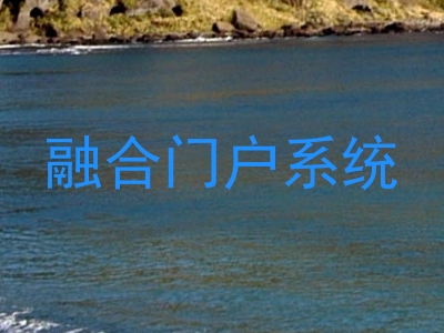融合门户系统