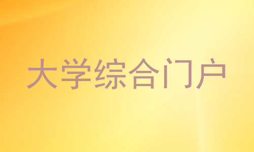 大学综合门户