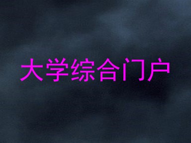 大学综合门户