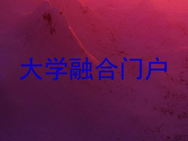 大学融合门户