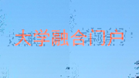 大学融合门户