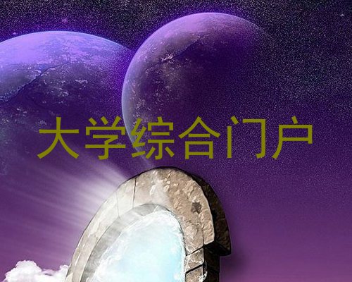 大学综合门户