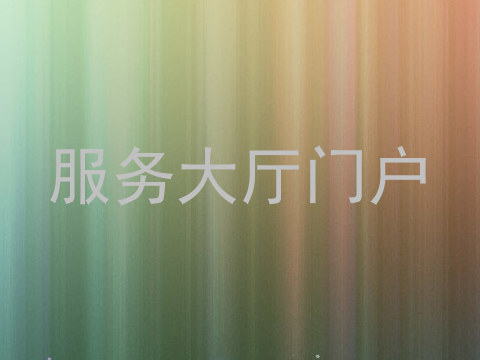 服务大厅门户