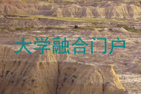 大学融合门户