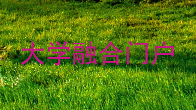 大学融合门户