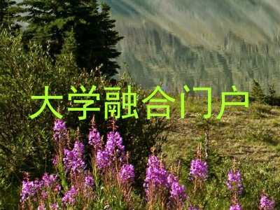 大学融合门户