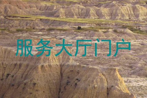 服务大厅门户