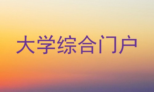 大学综合门户