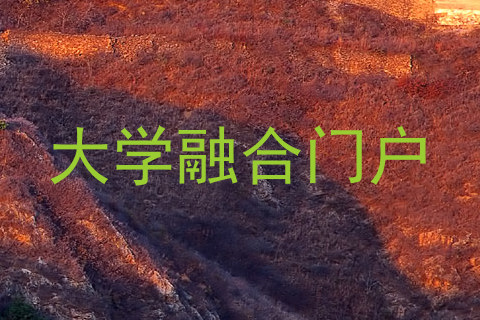 大学融合门户