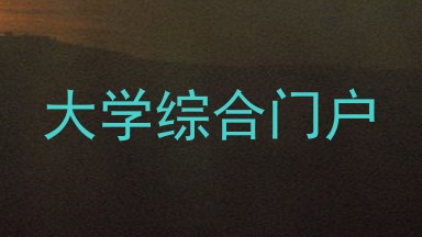 大学综合门户