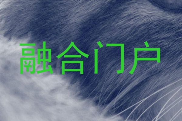 融合门户