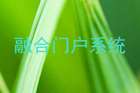 融合门户系统