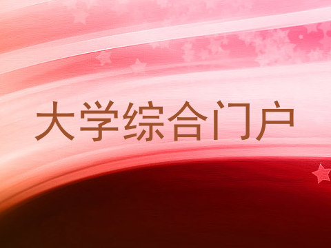 大学综合门户