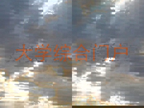 大学综合门户